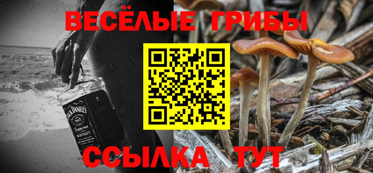 Галлюциногенные грибы MAGIC MUSHROOMS  Вход с VPN  Ступино 