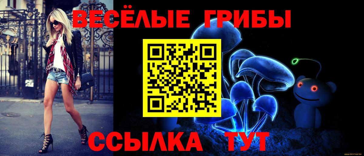 Псилоцибиновые грибы Magic Shrooms Ступино